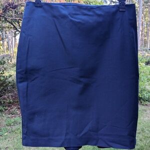 Ann Taylor Petite Size 6P Dark Blue Skirt